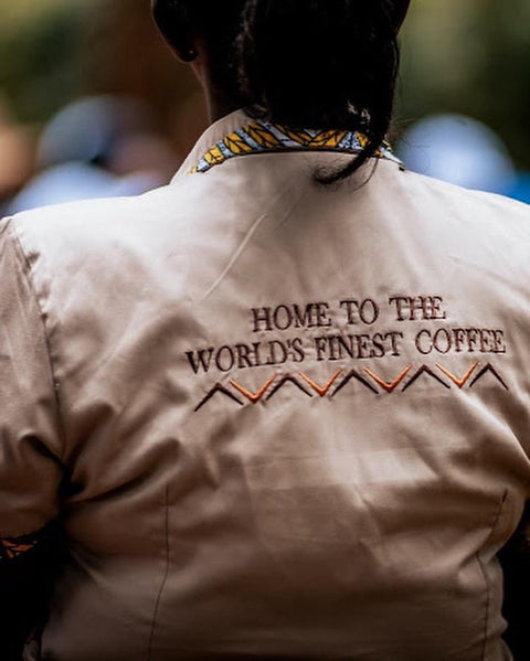 Fairview Coffee Beans (Medium Roast) - Nathez out of Africa