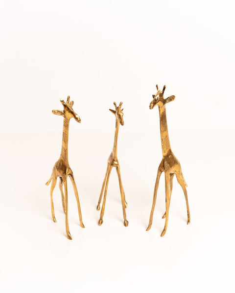 African Brass Giraffe - Nathez out of Africa