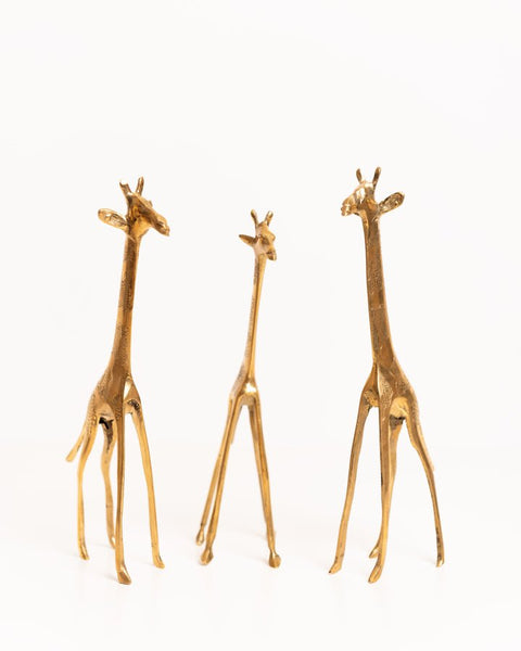 African Brass Giraffe - Nathez out of Africa