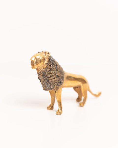 African Brass Lion - Nathez out of Africa