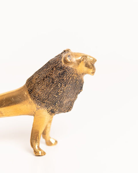 African Brass Lion - Nathez out of Africa