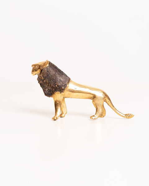 African Brass Lion - Nathez out of Africa