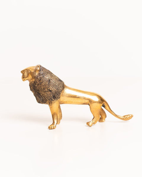 African Brass Lion - Nathez out of Africa